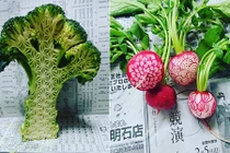 Những màn chạm khắc cực độc trên rau củ quả 