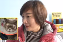 Quý cô chi hàng chục triệu cắt mắt 2 mí cho mèo cưng