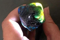 Đi ra đường vấp phải đống rác, đổi đời luôn nhờ thứ này 