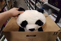 Chỉ viết vài dòng nguệch ngoạc trên hộp đồ chơi, cậu bé nhận điều kỳ diệu 