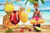 Rái cá nổi tiếng nhờ tư thế đứng chẳng giống ai