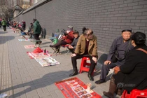 Kỳ lạ con phố cứ 1m lại có một thầy bói 