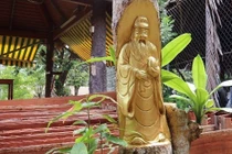 Video: Những gốc cây kiểng được tạc tượng ở miền Tây