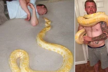Chết oan ức chỉ vì nuôi trăn khổng lồ, rắn độc trong nhà