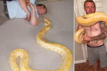 Chết oan ức chỉ vì nuôi trăn khổng lồ, rắn độc trong nhà