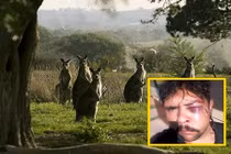 Săn chuột túi, chàng thợ săn bị trả thù thê thảm thế này 