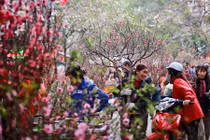 Đón không khí lạnh, nhiệt độ tại Hà Nội xuống còn 11 độ C