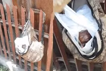 Thấy ba lô bên đường, đến nhặt phát hiện chuyện rợn người, xót xa...