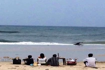 1 người chết và 1 người mất tích do lũ dâng ở TT-Huế