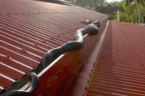 Vợ giấu "quái vật" bí mật trên gác, chồng phát hiện thất kinh 