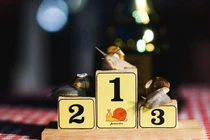 Ly kỳ giải đua ốc sên khiến ai cũng hồi hộp theo