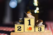 Ly kỳ giải đua ốc sên khiến ai cũng hồi hộp theo