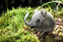 Giật mình những quái vật lai khủng khiếp nhất 