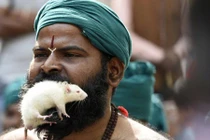 Những hình ảnh rùng mình có thật chỉ có tại Ấn Độ 