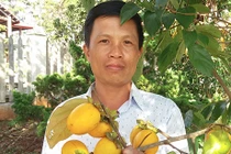 Vùng đất này không chỉ có sâm mà còn có đặc sản hồng giòn