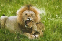 Ấn tượng những khoảnh khắc "độc" của động vật hoang dã (3)