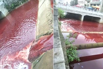 Dòng sông chuyển màu máu đỏ quạch... nguyên nhân ai cũng rùng mình