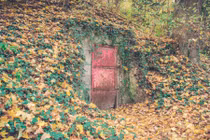 Tìm thấy cánh cửa bí ẩn trong rừng, khám phá điều rợn tóc gáy