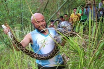 Tay không bắt trăn khổng lồ, người đàn ông khiến ai cũng nể sợ