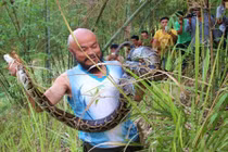 Tay không bắt trăn khổng lồ, người đàn ông khiến ai cũng nể sợ