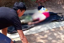 Kinh hoàng xe tải trôi phanh cán tài xế đang sửa chết thảm