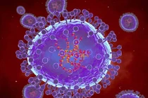 Virus HMPV gây viêm phổi có lây qua quan hệ tình dục?