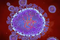 Virus HMPV gây viêm phổi có lây qua quan hệ tình dục?