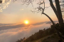 View - Lao Chải "nàng thơ" bình yên khiến du khách mê mẩn giữa núi rừng Sapa | Báo Tri thức và Cuộc sống - TIN TỨC PHỔ BIẾN KIẾN THỨC 24H