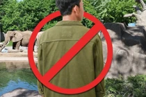 Lý do vườn thú ở Nhật Bản cấm khách nam đi một mình