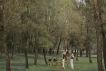 Lạc bước giữa rừng thông cổ ở lăng Gia Long