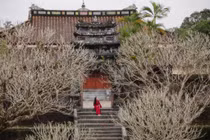 Vẻ đẹp tuyệt tác của lăng vua Minh Mạng 