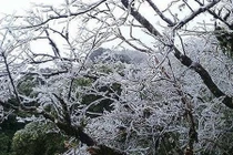 Thời tiết ngày 14/1: Rét đậm, rét hại tại miền Bắc dần suy yếu