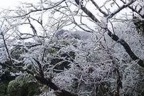 Thời tiết ngày 14/1: Rét đậm, rét hại tại miền Bắc dần suy yếu