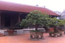 Đại gia Việt chơi trội với những ngôi nhà gỗ lim hàng trăm tỷ đồng