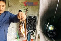 Video: Cháy tiệm làm bánh sinh nhật, 4 cha con chủ nhà thoát chết