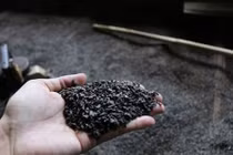 Bộ Nông nghiệp chính thức công bố kết quả vụ “cà phê pin"