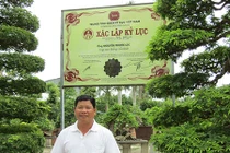 Độc đáo cặp me kiểng cổ khách trả 6 tỷ đồng không bán ở Sa Đéc