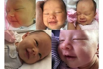 Hot Face sao Việt 24h: Con gái lai Tây của Lan Phương cực đáng yêu