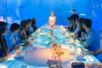 Giới siêu giàu tiêu tiền vào du lịch thế nào?