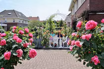 Ngôi nhà phủ kín hoa hồng đẹp như trong mơ của mẹ Việt ở Hà Lan