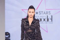 Sao Việt bênh vực Lại Thanh Hương giữa ồn ào trang phục