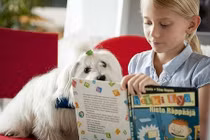 Chuyện lạ có thật: Trường ĐH đầu tiên dùng chó giúp sinh viên học