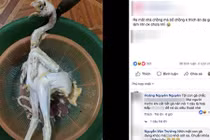 Vì bố chồng không thích ăn da gà, nàng dâu vặt lông gà "thất kinh" 