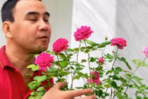 Góc mới sửa sang trong biệt thự 21 tỷ đồng của MC Quyền Linh