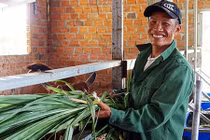 Vụ cưa cây gỗ khô: 5 bị cáo trắng án và bữa cơm ngon nhất 