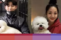 Bằng chứng bí mật hẹn hò 3 năm của cặp đôi “Thư ký kim“