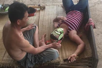 Bố ra vườn hái dưa chuột đắp mặt nạ cho mẹ