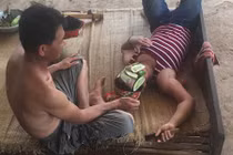 Bố ra vườn hái dưa chuột đắp mặt nạ cho mẹ