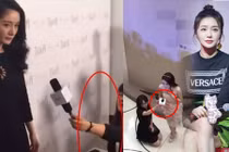 Tần Lam và Dương Mịch, sao kẻ bị "ném đá", người được thấu hiểu? 