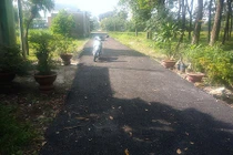 Thực hư vụ "tự bỏ tiền làm đường, bị còng tay"